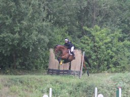 IMG_1453_web